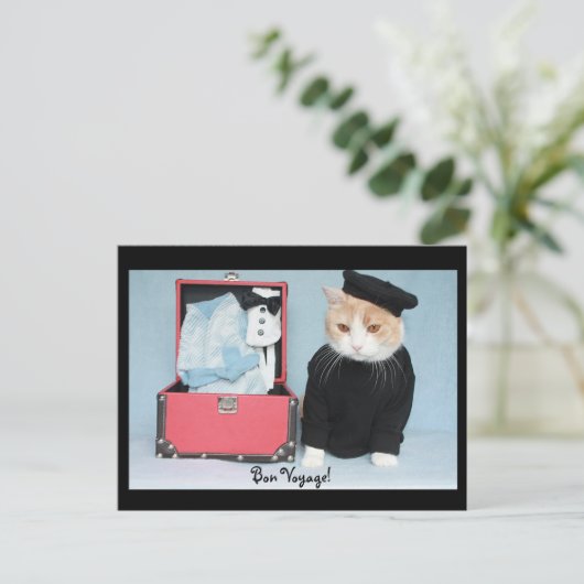 おやおや！ ポストカード (スタンド正面)