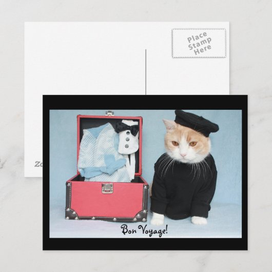 おやおや！ ポストカード (正面/裏面)