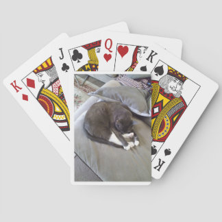 おやすみなさい トランプ