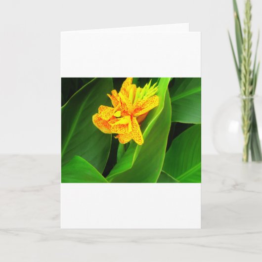 おやすみ！.. カード (正面)