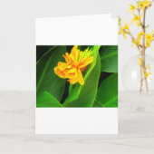 おやすみ！.. カード (黄色い花)