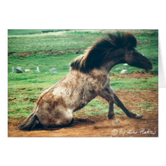 およそ2つを転がって下さい