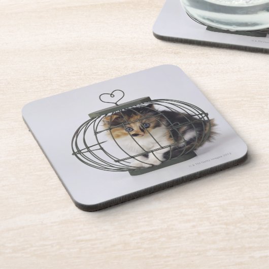 おりの猫 コースター (左側)