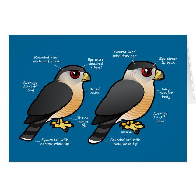 おりvの小型の平底船 (正面横)