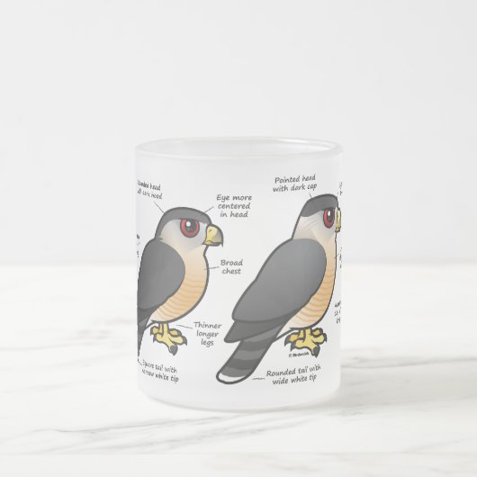 おりvの小型の平底船 フロストグラスマグカップ (中央)