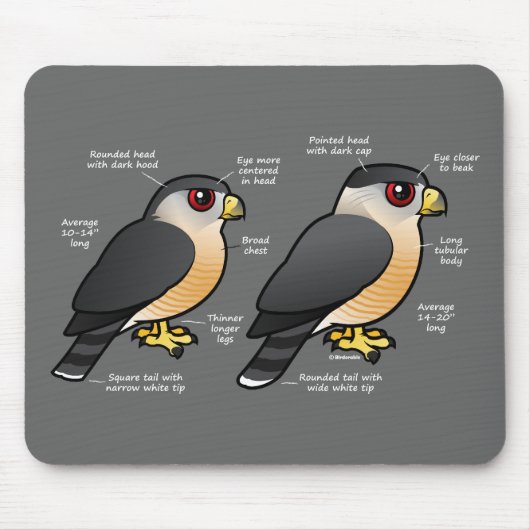 おりvの小型の平底船 マウスパッド (正面)