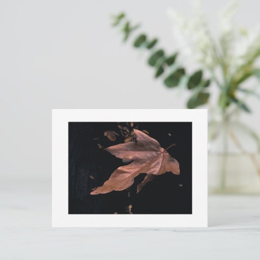 "おろされたプラタナスの葉" ポストカード (スタンド正面)