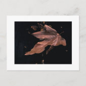 "おろされたプラタナスの葉" ポストカード (正面)