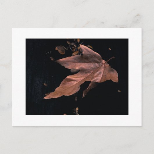 "おろされたプラタナスの葉" ポストカード (正面)