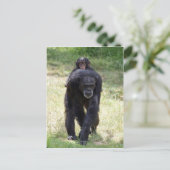 おんぼろバックママ ポストカード (スタンド正面)