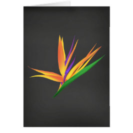 おエレガント世話になっております