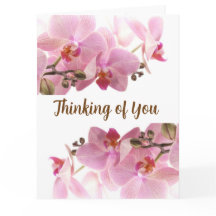 おエレガント前の考えピンクの花のカード