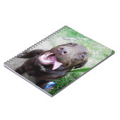 おバカな喜び: 茶色のラブラドールパピー ノートブック (左側)