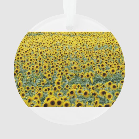 おパーソナライズされた前は俺のサンシャインサンフラワーだ オーナメント (裏面)