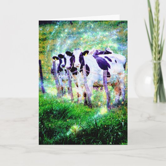 おモー元気か? カード (正面)