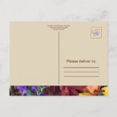 お世話になっております – はがき (裏面)