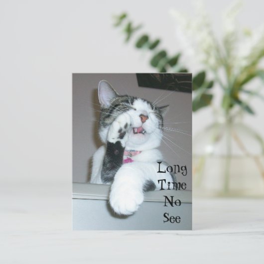 お久しぶり ポストカード (スタンド正面)