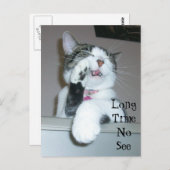 お久しぶり ポストカード (正面/裏面)