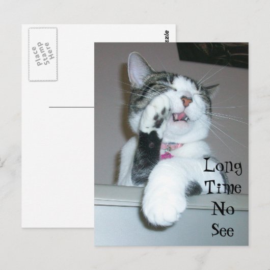 お久しぶり ポストカード (正面/裏面)