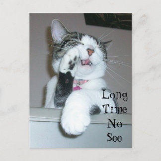 お久しぶり ポストカード