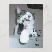 お久しぶり ポストカード (正面)