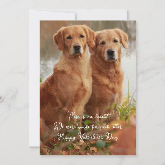 お互いのカードに対して作成されたゴールデンレトリバー カード (正面)