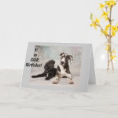 お互いの誕生日,共有の誕生日,同じ誕生日,私たちの カード (黄色い花)