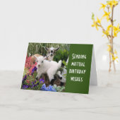 お互い祝の誕生日 カード (黄色い花)