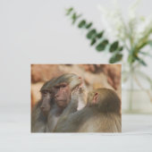 お互気にいに気が合う ポストカード (スタンド正面)