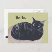 お休みのカメ絵を描ラ猫ハローハガキ ポストカード (正面/裏面)