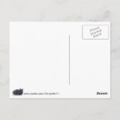 お休みのカメ絵を描ラ猫ハローハガキ ポストカード (裏面)