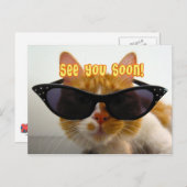 お会いいたしまクールす – Catポストカード ポストカード (正面/裏面)