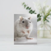 お会いできて嬉しい ポストカード (スタンド正面)