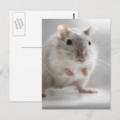 お会いできて嬉しい ポストカード (正面/裏面)