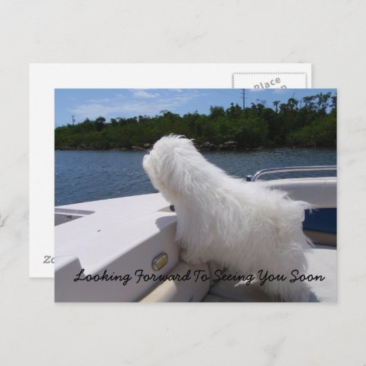 お会いできるのを楽しみにしています ポストカード (正面/裏面)