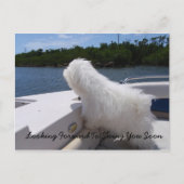 お会いできるのを楽しみにしています ポストカード (正面)