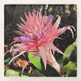 お使いのカスタムガラスコースター ガラスコースター