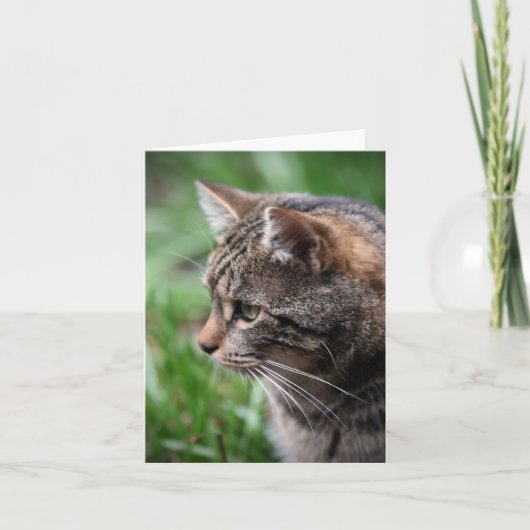 お使いのカスタムメモカード カード (正面)