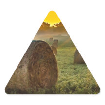 お使いのカスタム三角形ステッカー