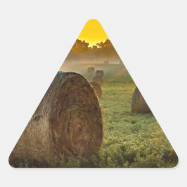 お使いのカスタム三角形ステッカー 三角形シール