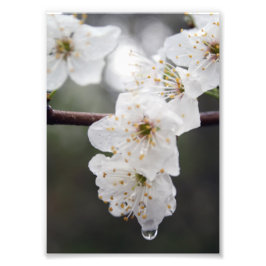 お使いのカスタム12インチx 16インチ写真の拡大 フォトプリント           