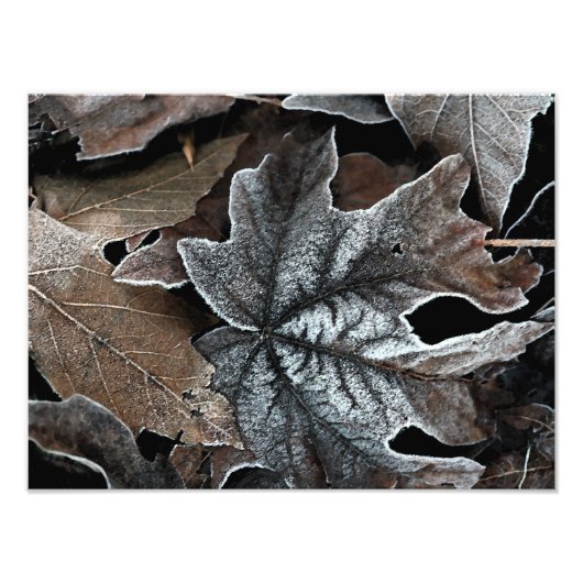 お使いのカスタム16インチx 12インチ写真の拡大 フォトプリント            (正面)