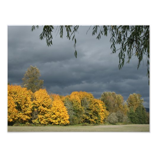 お使いのカスタム16インチx 12インチ写真の拡大 フォトプリント            (正面)