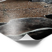 お使いのカスタム16インチx 12インチ写真の拡大 フォトプリント            (角)