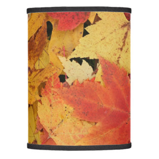 お使いのカスタムLamp Shade （のみ）