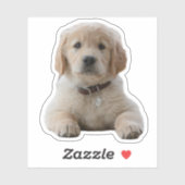 お使いの写真はこちら防水の個々のノートパソコン シール (シート)