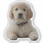 お使いの写真はこちら防水の個々のノートパソコン シール (正面)