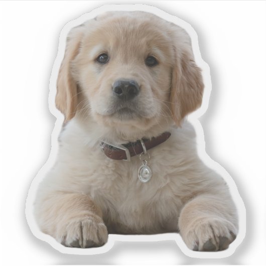 お使いの写真はこちら防水の個々のノートパソコン シール (正面)