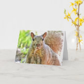 お使いの恋しく思誕生日 カード (黄色い花)