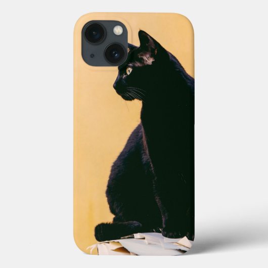 お使いのCat Photo Phoneケース |ギフパーソナライズされたト Case-Mate iPhoneケース (裏面)